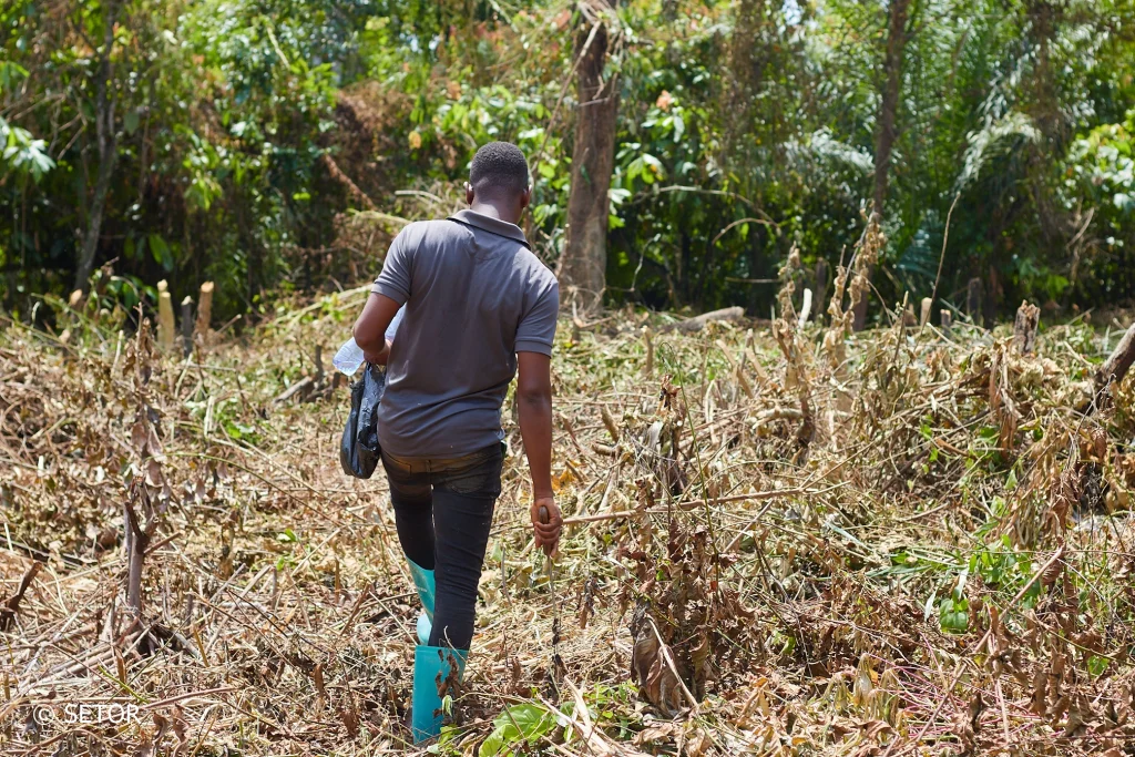 Turkson walking on the newly cleared farm.