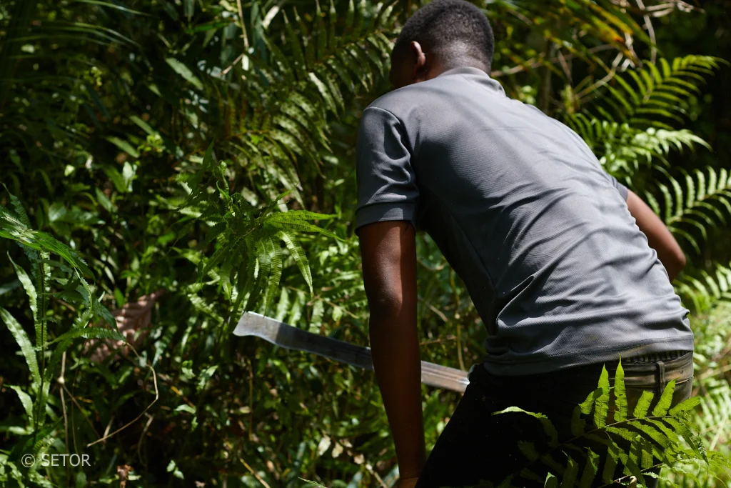 Turkson clearing a bush on his farm.