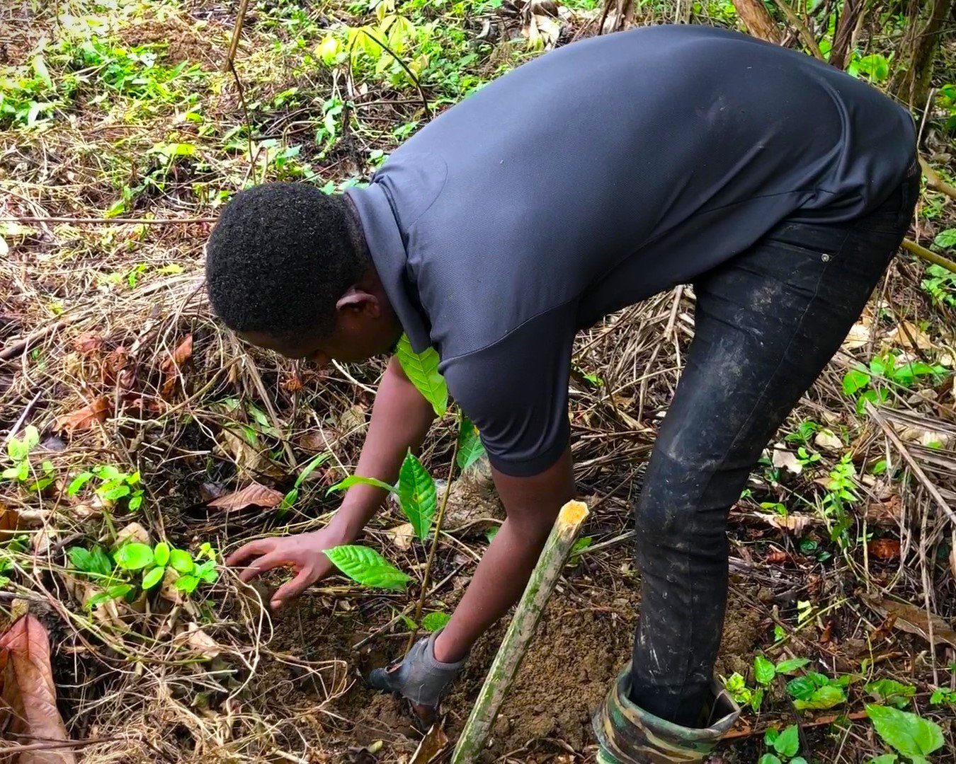 farmer featured image